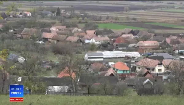 Urşii au dat navală într-un cimitir din Mureș. Ce au găsit rudele unui bărbat înmormântat