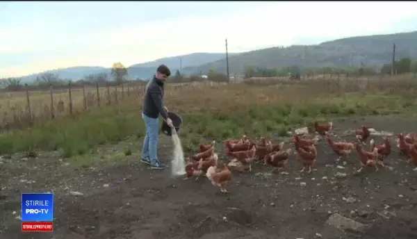 Românii, în topul consumatorilor de ouă. „Nu contează calitatea, contează doar prețul”