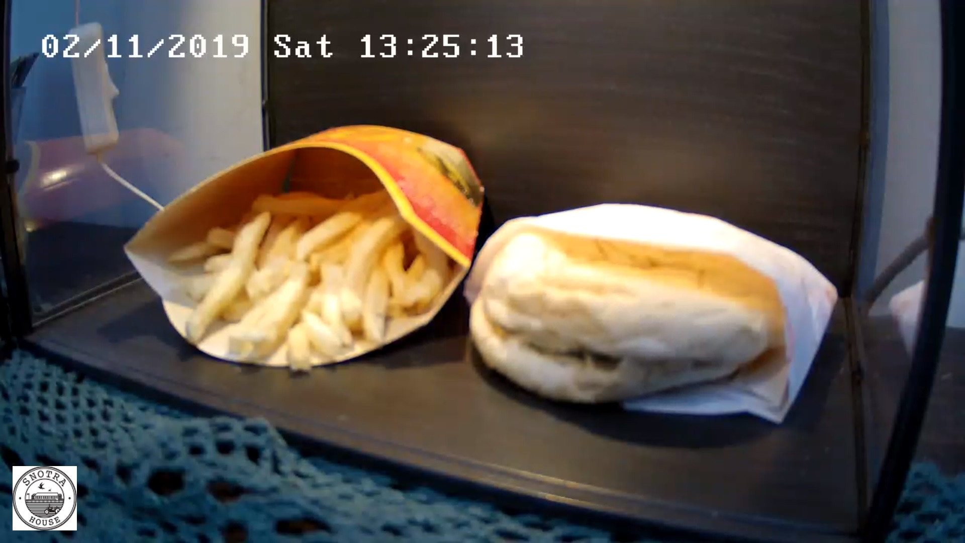 Cum arată un hamburger vechi de 10 ani. Imaginile au fost transmise LIVE