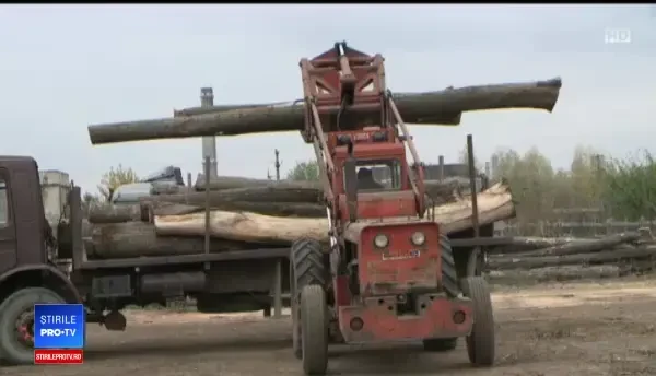 Prețul lemnului ”a luat foc” în unele zone. Cât se cere pe un metru cub, în prag de iarnă