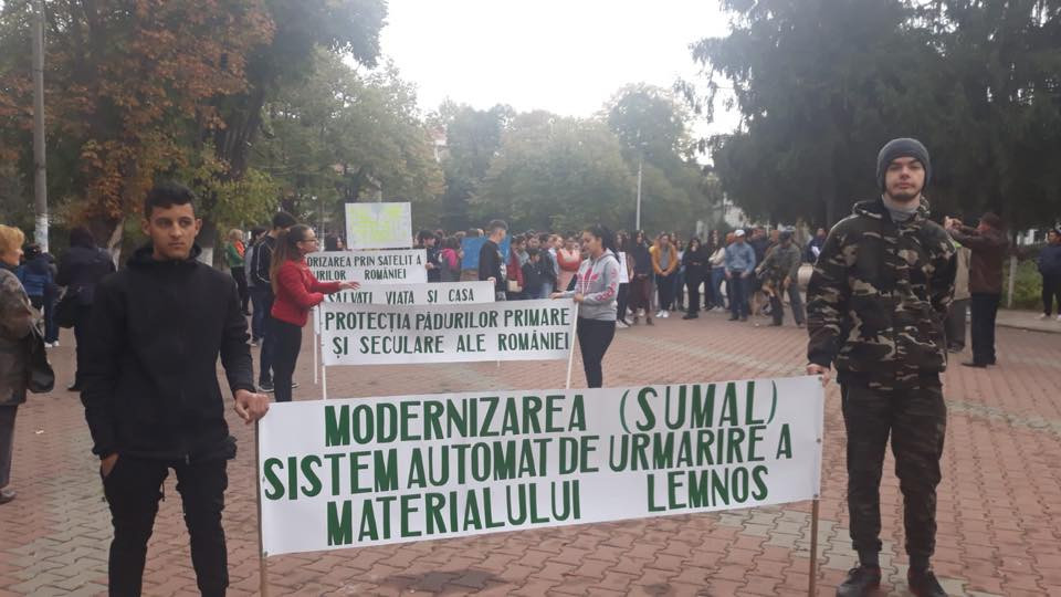 "Pădurile României nu mai au timp". Proteste față de tăierile ilegale de lemn