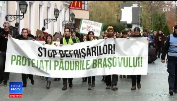 "Pădurile României nu mai au timp". Proteste față de tăierile ilegale de lemn