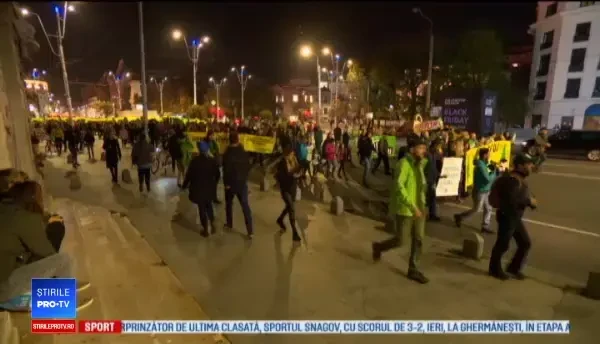 "Pădurile României nu mai au timp". Proteste față de tăierile ilegale de lemn