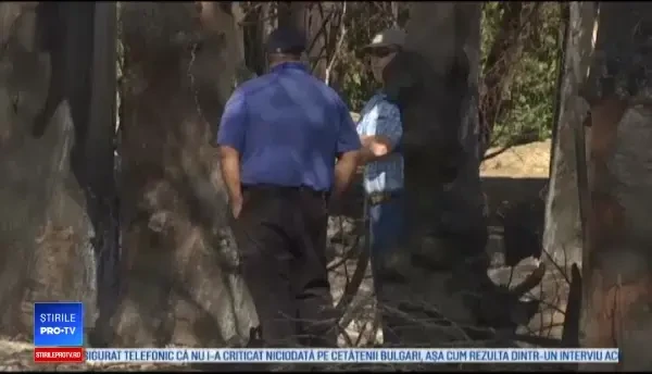 Recolte întregi mistuite de incendii în California. Fermierii sunt disperați