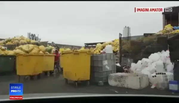 Nereguli la un incinerator de lângă Ploiești. Oamenii bănuiesc că se ard leșuri de animale
