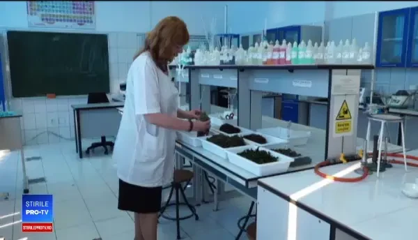 "Comoara" din Marea Neagră. Ar putea îmbogăţi România, dar e lăsată să putrezească