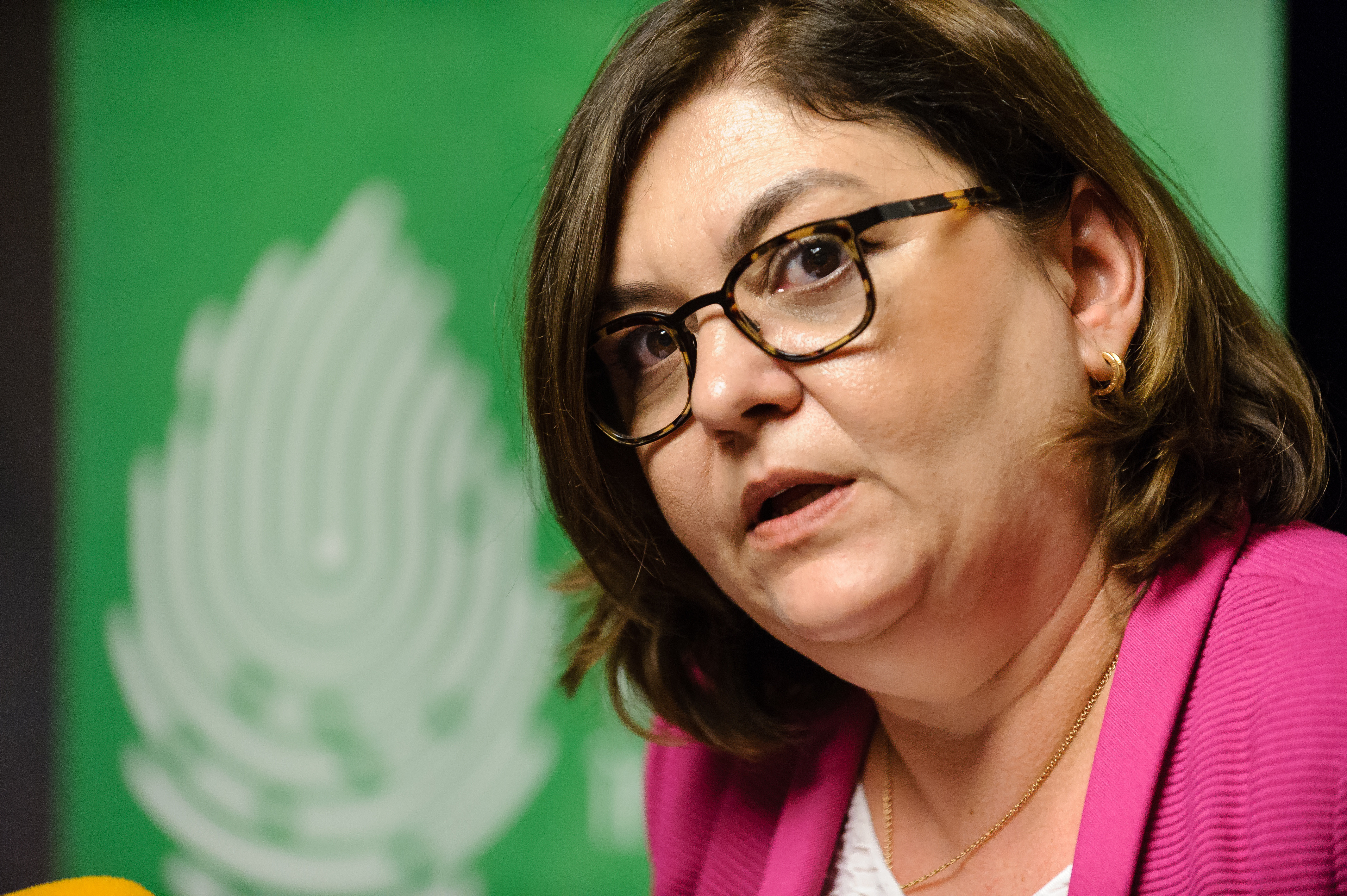 Adina Vălean, despre aderarea Ucrainei și Republicii Moldova la UE: „Totul depinde de aceste țări” | INTERVIU