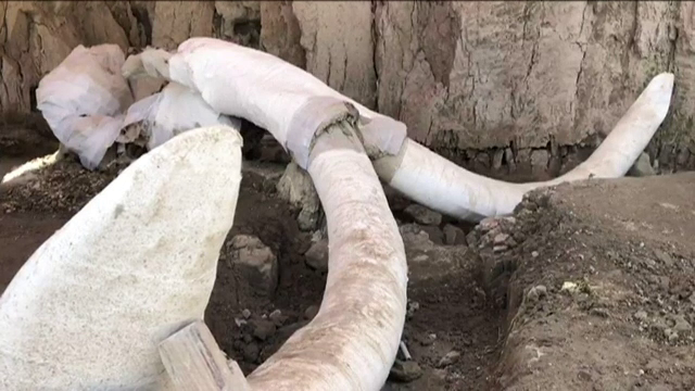 Surpriză de proporții pentru câțiva muncitori care săpau o groapă de gunoi. Peste ce au dat