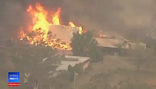 Incendii de vegetație scăpate de sub control în Australia. Ce zone sunt afectate