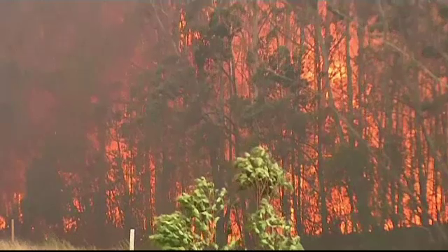 Australia, în flăcări. Mai mulți morți și alti zeci de răniți în urma incendiilor