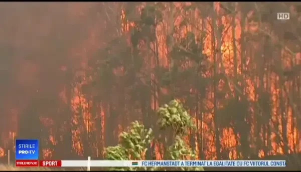 Australia, în flăcări. Un mort și alti zeci de răniți în urma incendiilor