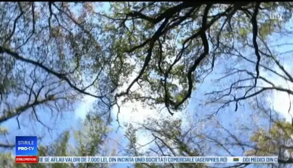 Medicul care nu a reuşit să plece din ţară din cauza birocraţiei, iar acum ajută bolnavii şi în timpul liber