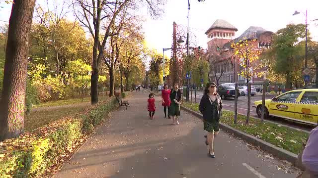 Cât va mai continua valul de căldură. Agricultorii s-au apucat de cultivat plante exotice