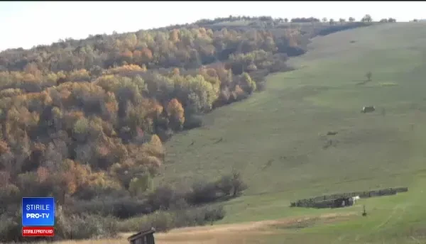 Cioban sfârtecat noaptea de un urs. "Sunt peste o mie"