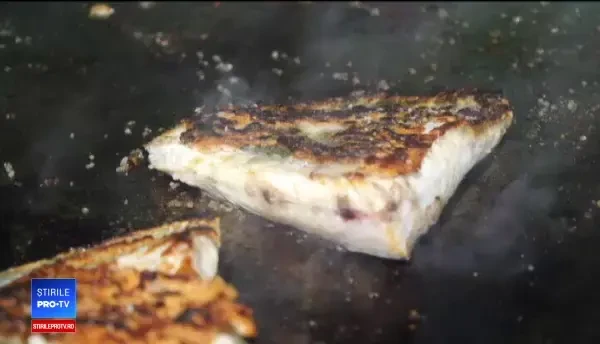 Pescarii români pot prinde mai mult calcan, începând de anul viitor