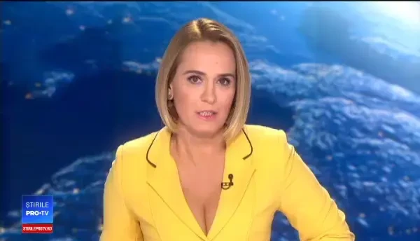 Un bărbat din Capitală a găsit peste 50 de lilieci după aparatul de aer condiționat