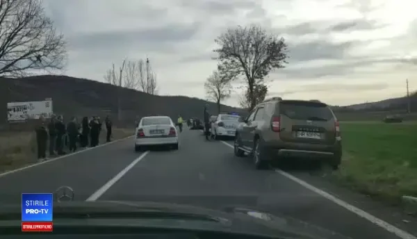 Un urs a fost grav rănit de o mașină, la ieșirea din Praid. Animalul a agonizat o noapte întreagă