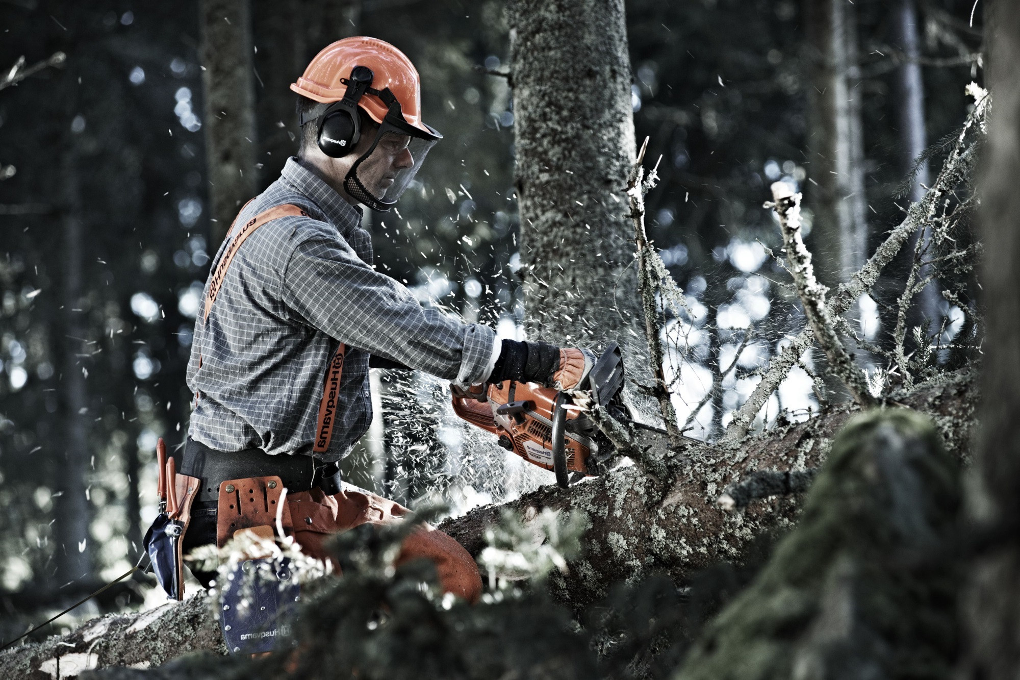 (P) Drujbele și piesele Stihl, cea mai bună alegere atât pentru profesioniști, cât și pentru amatori