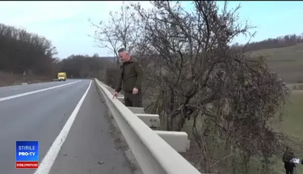 Oameni şi animale, ucişi pe "şoselele morţii" din România. "Zilnic avem evenimente"