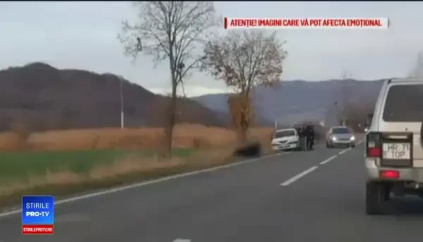 Primele măsuri luate după cazul ursului lăsat să agonizeze 17 ore pe şosea