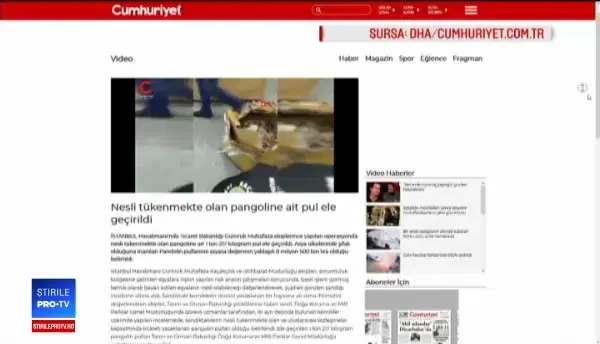 Diplomat român, acuzat de implicare într-un transport ilegal de 1,5 milioane € de solzi de pangolin