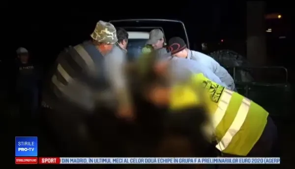 Încă un urs a fost ucis de mașină pe o șosea din Mureș. "Drumul e exact pe fondul forestier"