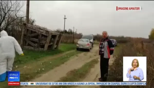 O lebădă moartă, motiv de îngrijorare la Galați. Inspectorii se tem de un posibil virus