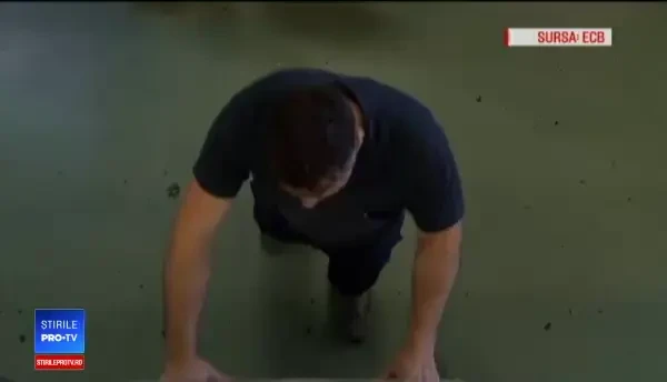 Cât de mult va creşte euro în următoarele luni. Previziuni sumbre ale analiştilor