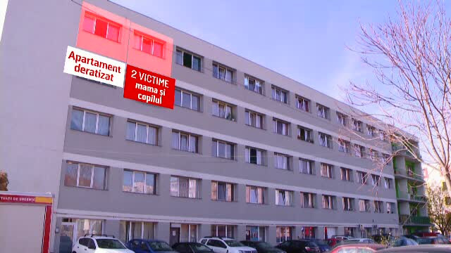 deratizare timisoara