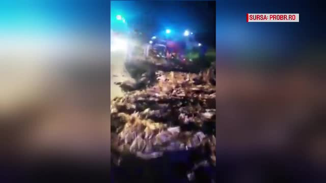 Accident cumplit pe o șosea din Brăila. Un mort și doi răniți