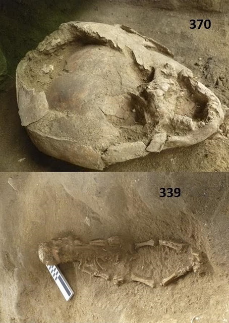 The Arheology Network