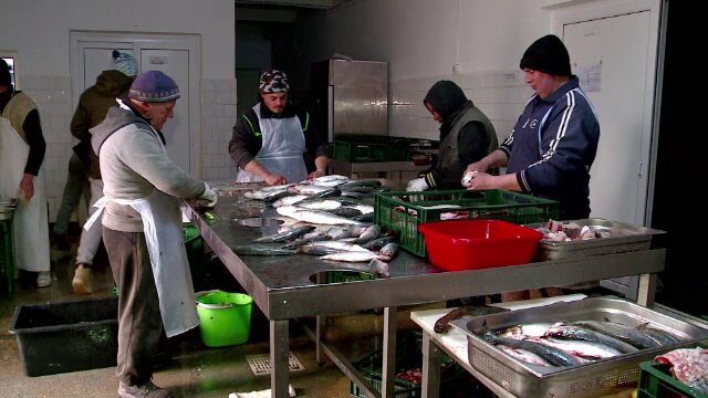 "Bursa de Peşte", eşec de aproape 15 milioane de lei. Directorul dă vina pe clienţi