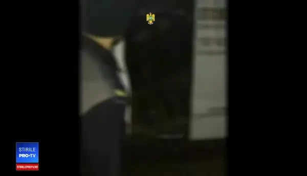 Un român, prins transportând migranți spre vestul Europei. Câți bani le-a luat