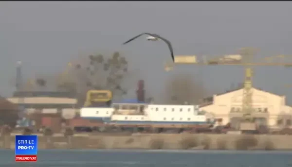 "Bursa de Peşte", eşec de aproape 15 milioane de lei. Directorul dă vina pe clienţi