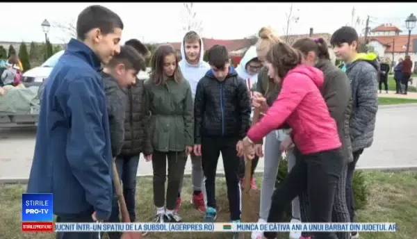 Elevii care iubesc natura. Au plantat copaci și au construit roboți din materiale reciclabile