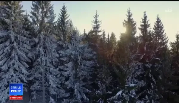 Vacanțe de Crăciun în România, cu 1.000 de euro de persoană. Zonele cele mai populare