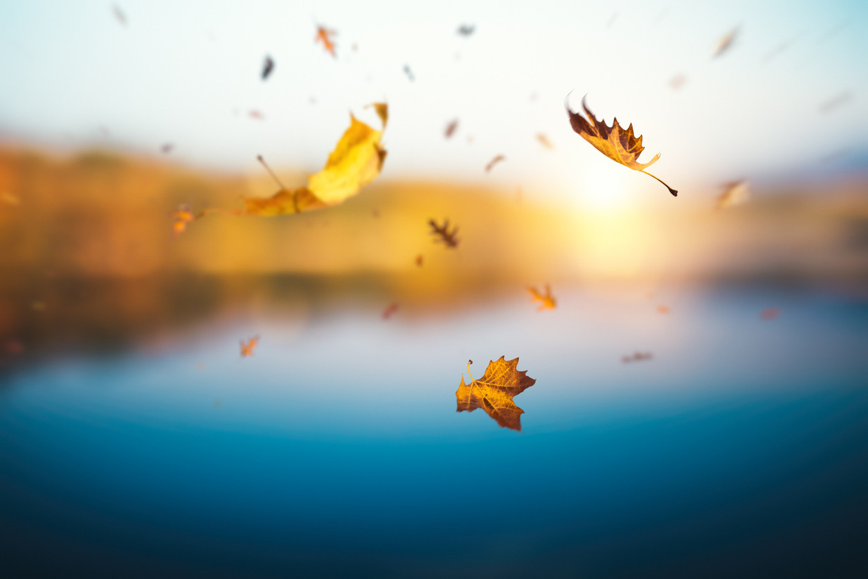 Temperaturile cresc ușor. Zonele în care maximele vor depăși 17 grade