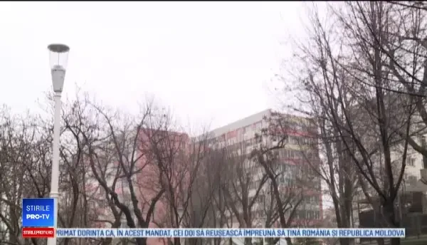 Horoscop 26 noiembrie 2019, prezentat de Neti Sandu. Gemenii vor câștiga o sumă de bani