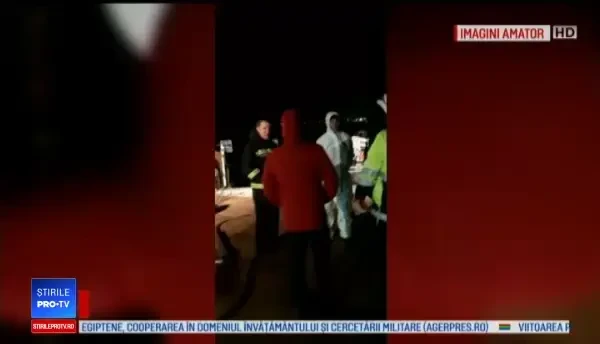 Cad primele "capete" în cazul oilor moarte în Portul Midia. Șef DSV: "Păi cine să le salveze?"