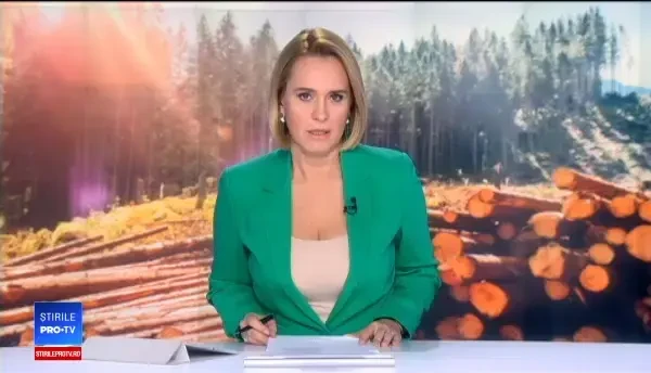 Deputații au adoptat proiectul de lege prin care pădurarii primesc arme letale