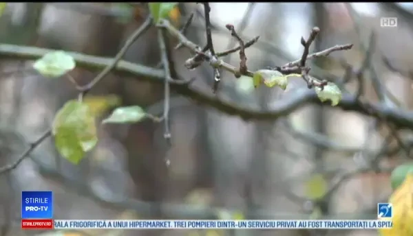 Horoscop 28 noiembrie 2019, prezentat de Neti Sandu. Capricornii primesc o sumă importantă de bani