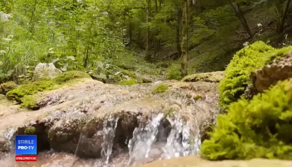 (P) Cum prevenim accidentul vascular cerebral. Medicamentul inovativ care ne poate salva