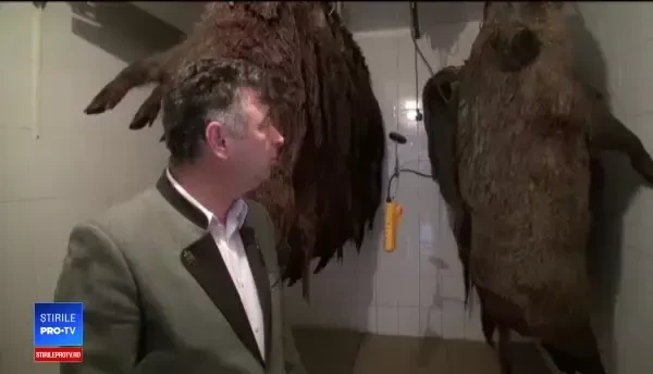 Alternative pentru masa de Crăciun. Cu ce recomandă nutriționiștii să înlocuim porcul