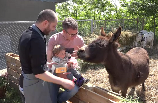 1 Decembrie - Marius Bicu