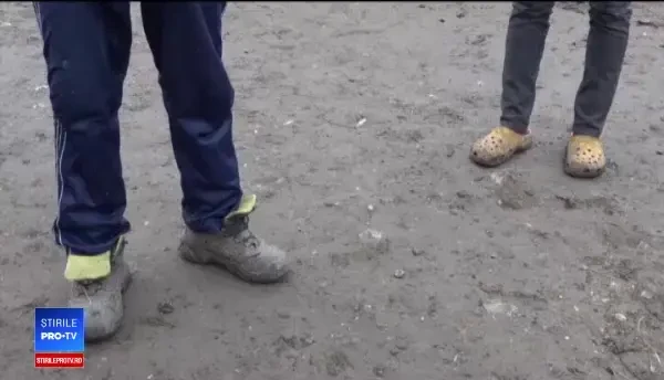 Doi frați în vârstă de 5 și 8 ani au fost abuzați sexual de către iubitul mamei lor