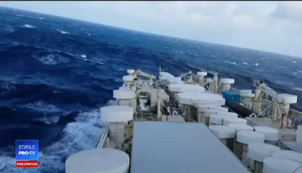 Reacție dură a CE după moartea celor 14.000 de oi. "Opriți exporturile de animale vii"