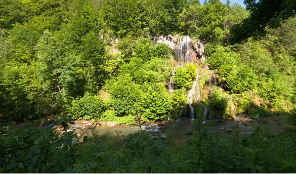 1 Decembrie - Radu Trifan