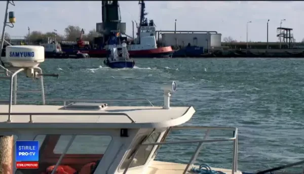 Oficialii europeni cer oprirea temporară a exportului animalelor vii din România. Reacția ministrului Agriculturii