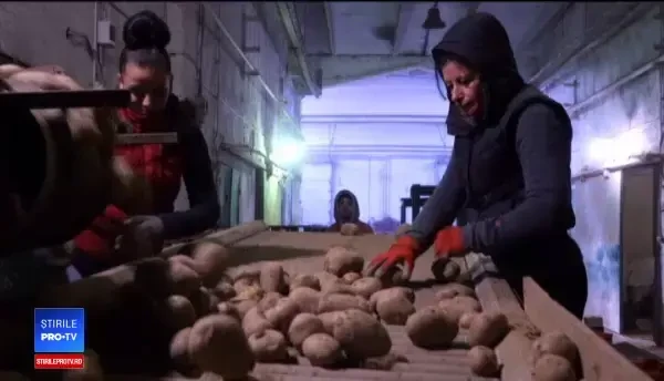 Vești proaste pentru români. Leguma lor preferată s-a scumpit în medie cu 20% faţă de 2018