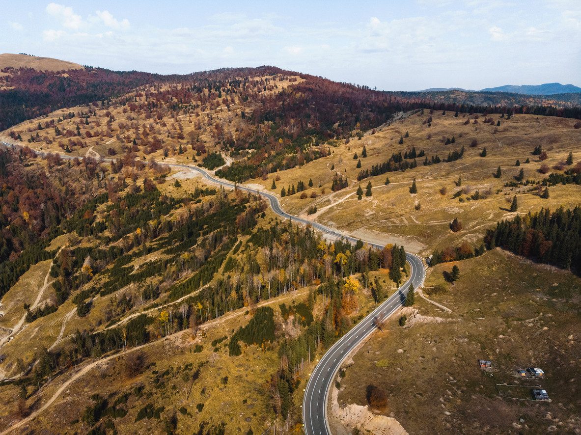 S-au tăiat păduri de 2,5 mld € în România. Peste jumătate din bani, făcuți din ilegalități